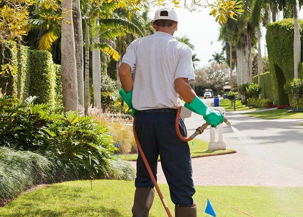 About Plainview MN Pest Control